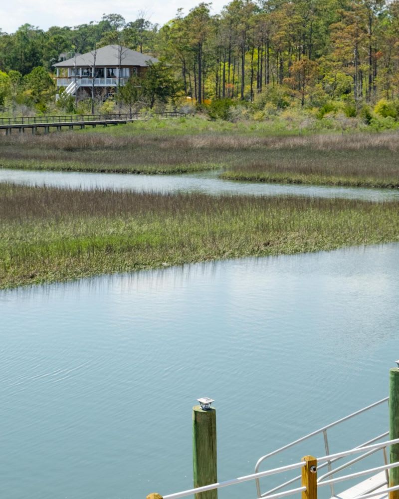 A serene lakefront view with a charming house nestled amidst lush greenery.