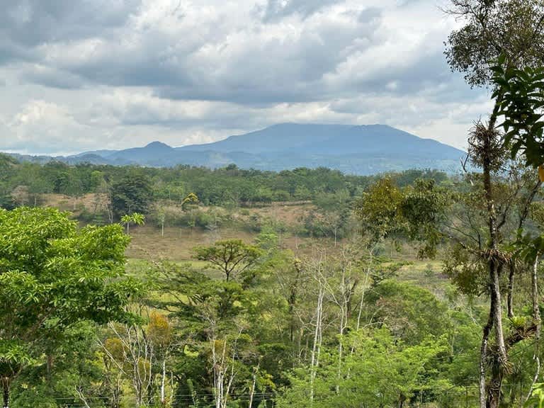 Buena Vista Land | Mountain Home Construction Site For Sale in Bijagua