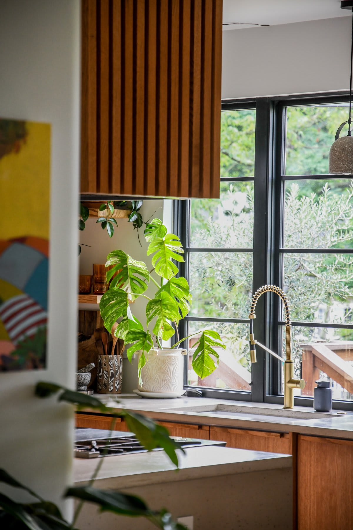 Q & A with House Plant Expert Hilton Carter