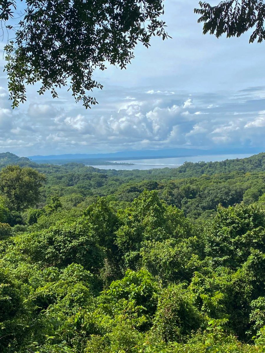 Secluded Ocean View Development Land, Ojochal, Puntarenas