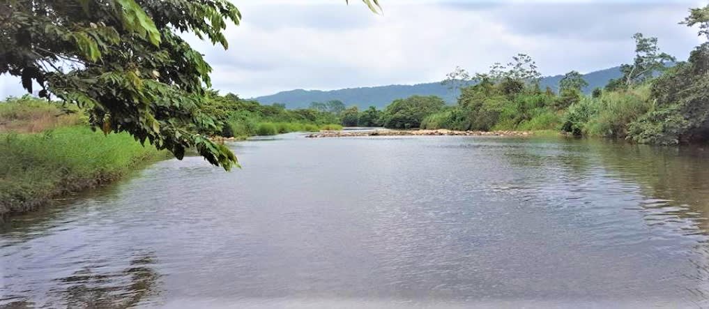 66 acre mountain view agricultural parcel with 1400 feet river frontage