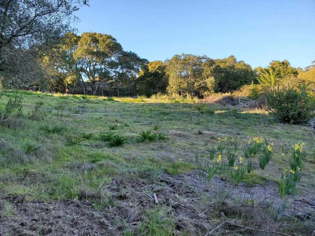 00 San Miguel Canyon Rd 