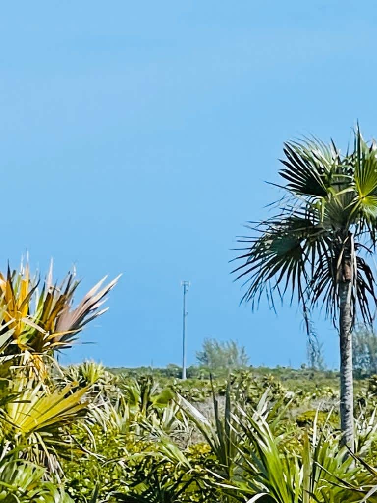 Hawks Nest Cay Cat Island