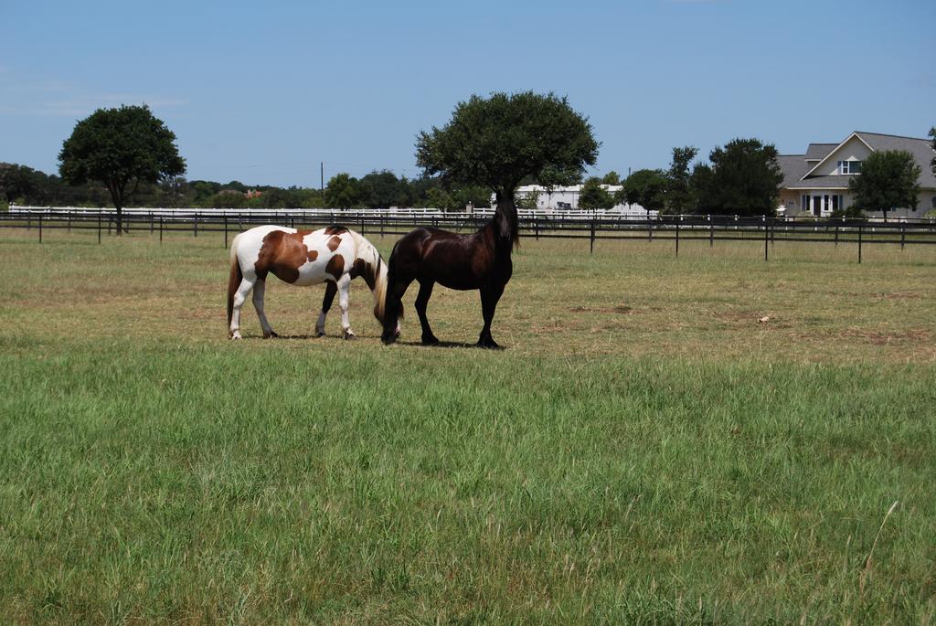 Trailside at Fair Oaks Ranch