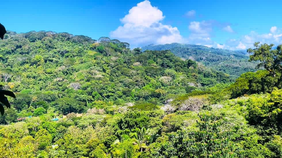 Casa Linda Vista with Ocean View Above Dominical Beach