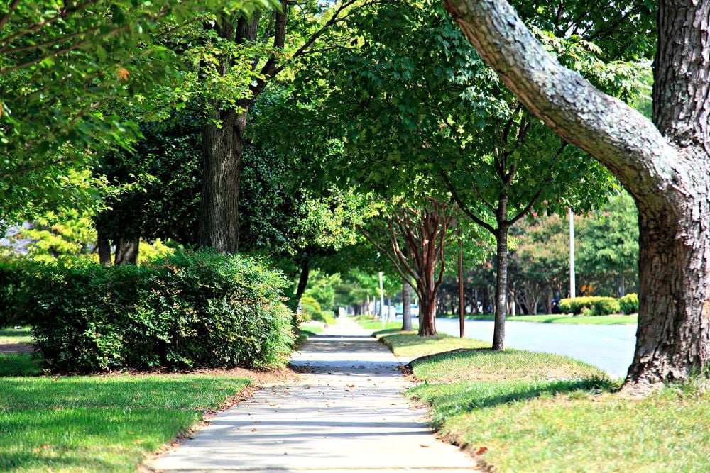 Chantilly - Charlotte, NC