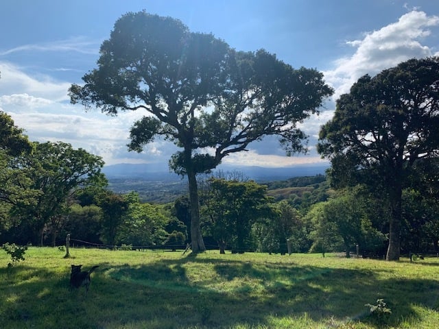 Vast Mountain Farm Acreage, Heredia