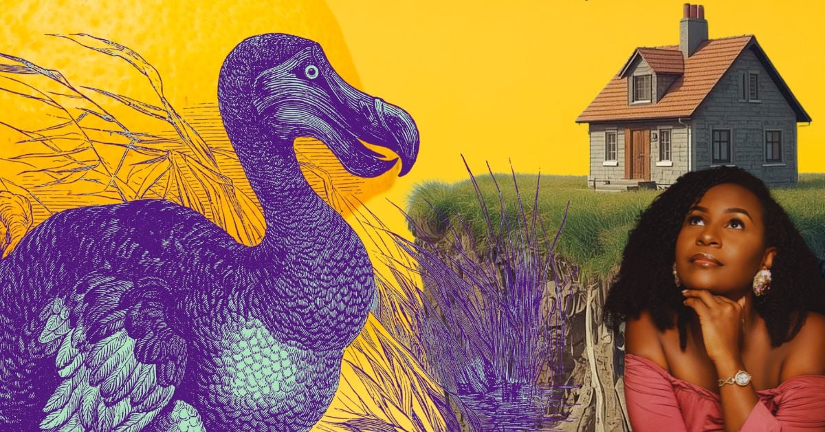 Affordable housing is a polycrisis: Here are 5 things to know in 2026