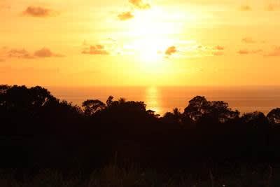 3.41 Acres, Ocean View Property In Finca Maranon With Legal Water! Ojochal 
