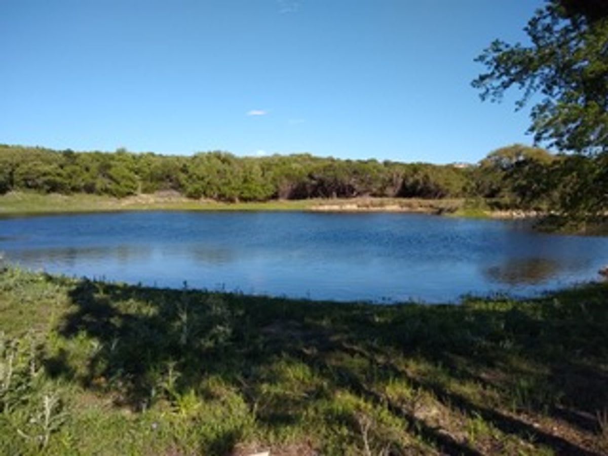 Ranch at Cypress Hill Springs