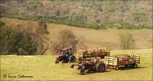 Our Top 10 Fall Festivals