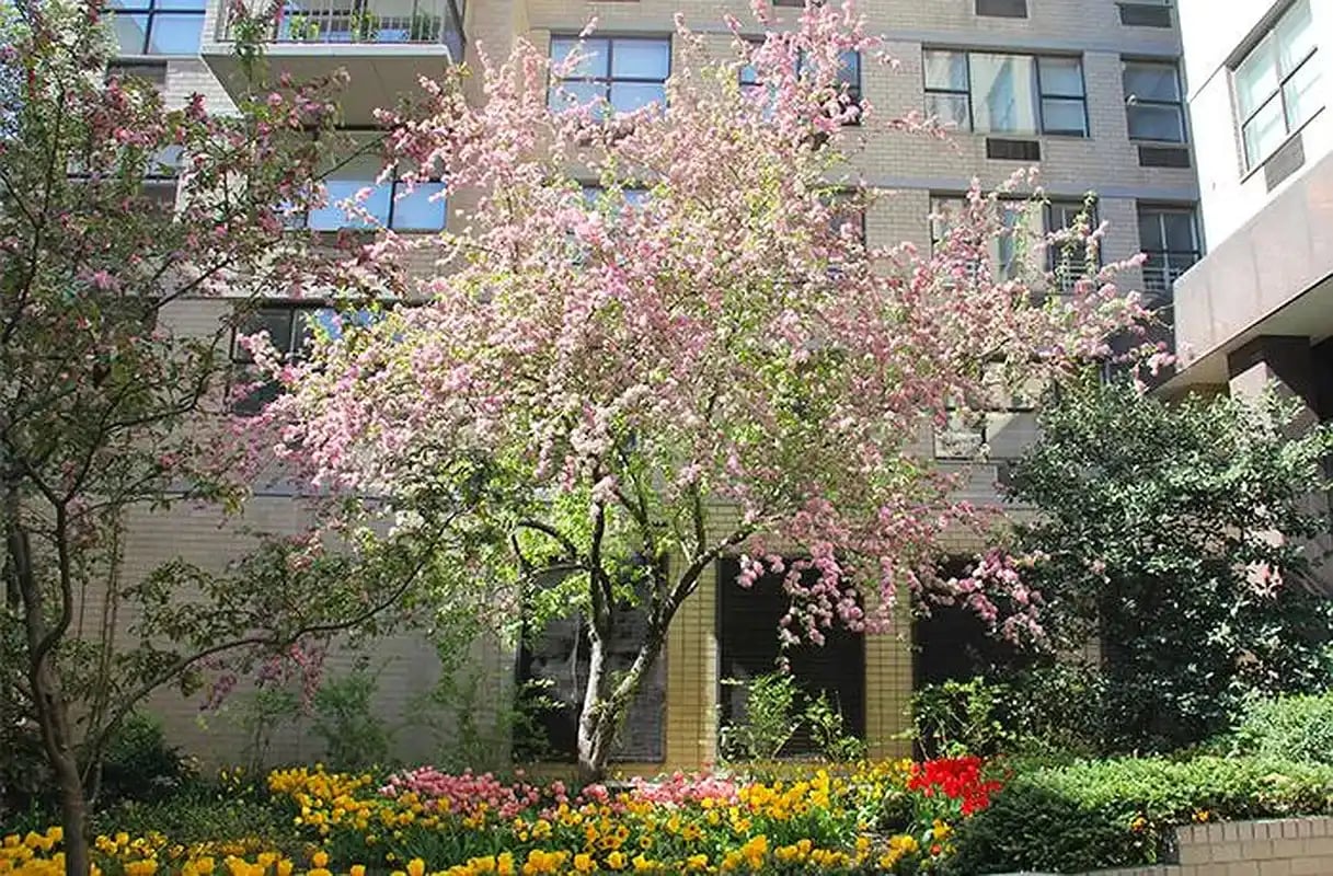 300 East 75th Street Unit: 4C