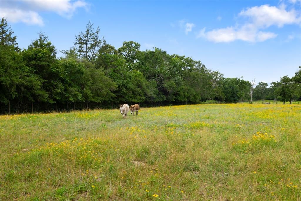 461 Piney Creek Rd Bellville, Tx 77418