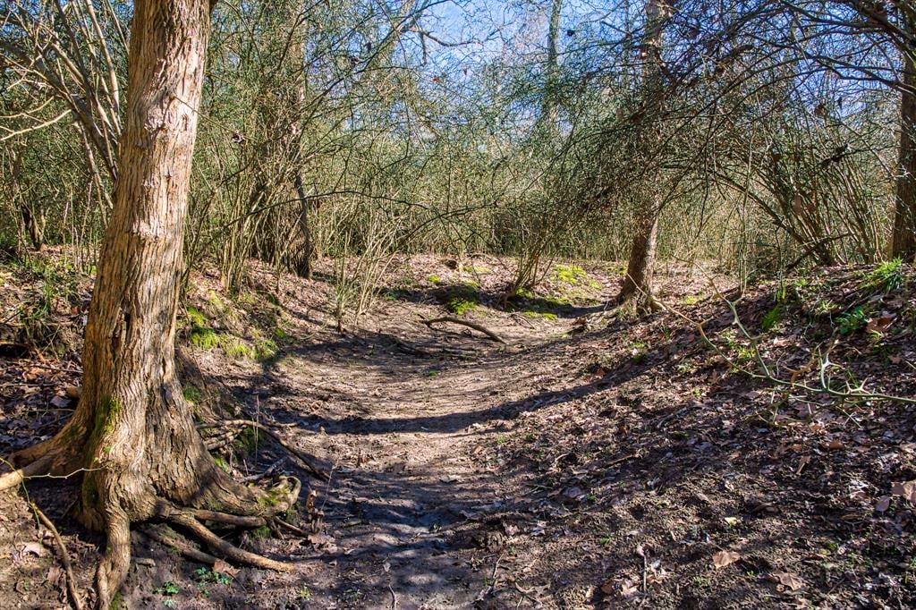 TBD Trackside Rd Chappell Hill, Tx 77426