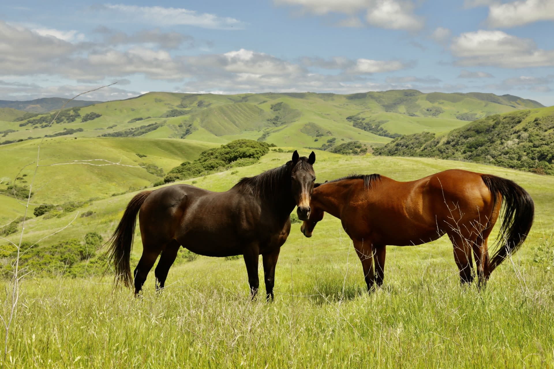 La Hoya Creek Ranch