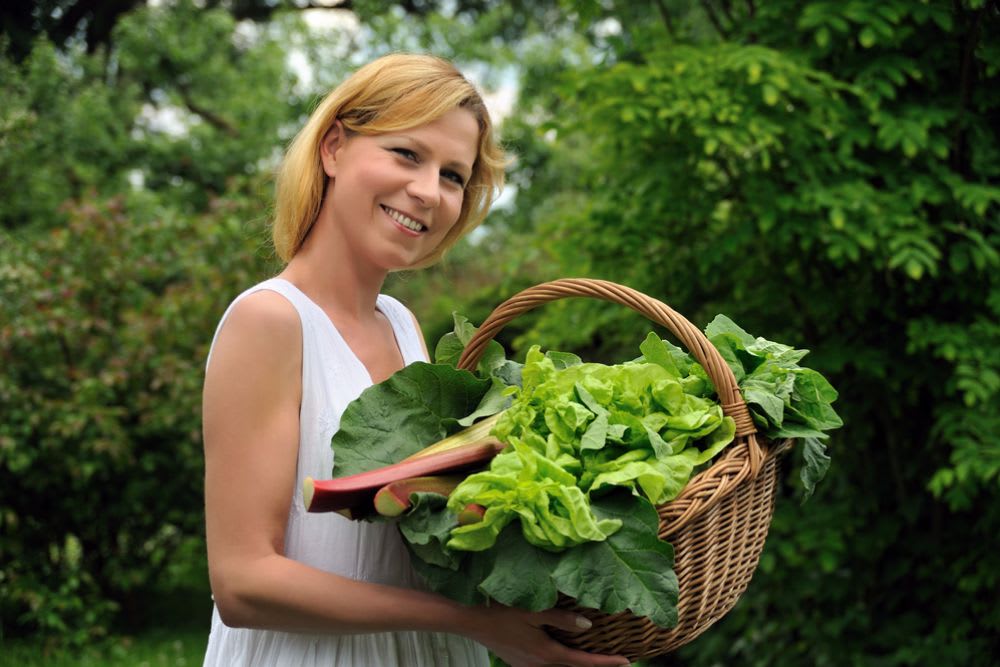 Mastering the Fall Garden