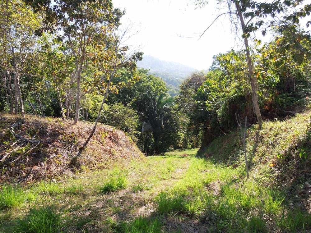 Coastal Development Acreage, Dominical, Puntarenas