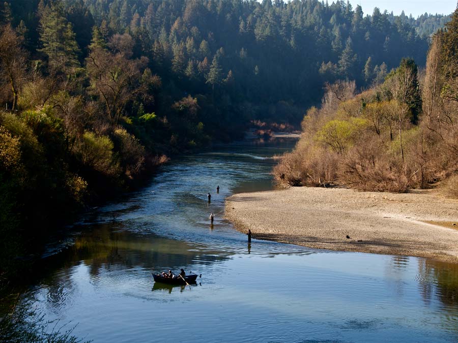 7 Enjoyable Activities in Guerneville