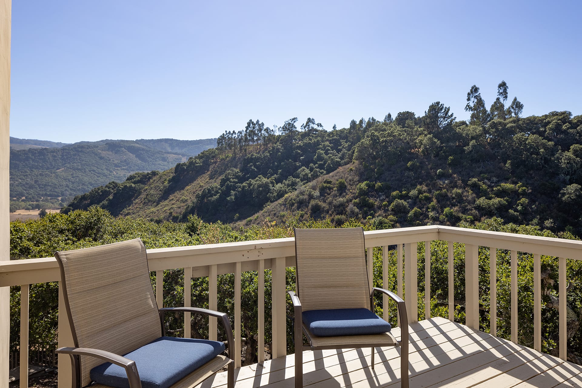 Carmel Valley Oasis - 28003 Mercurio Road