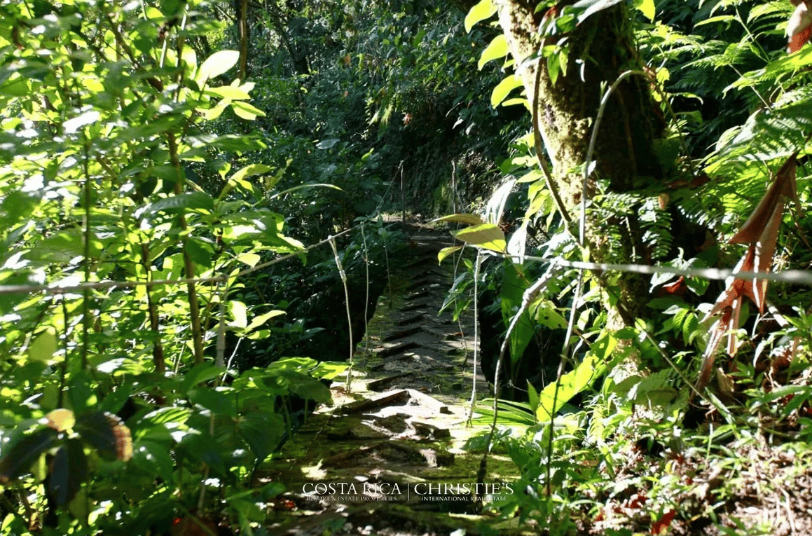 Selvatico Waterfall Garden