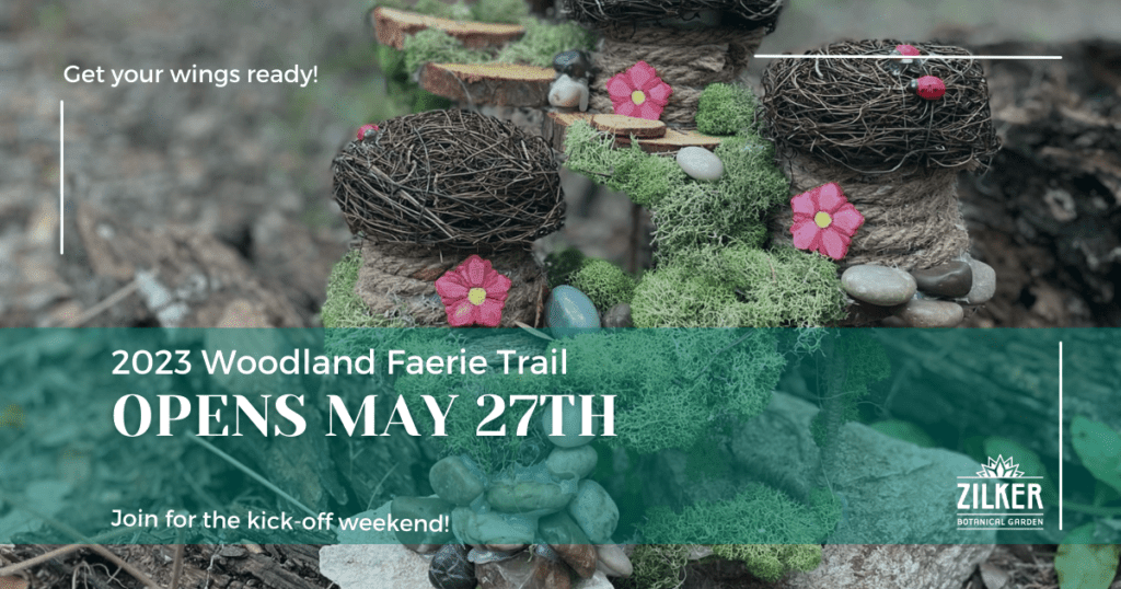 Zilker Botanical Garden presents Woodland Faerie Trail