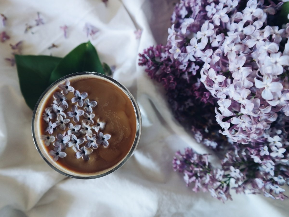 February 2019 Newsletter