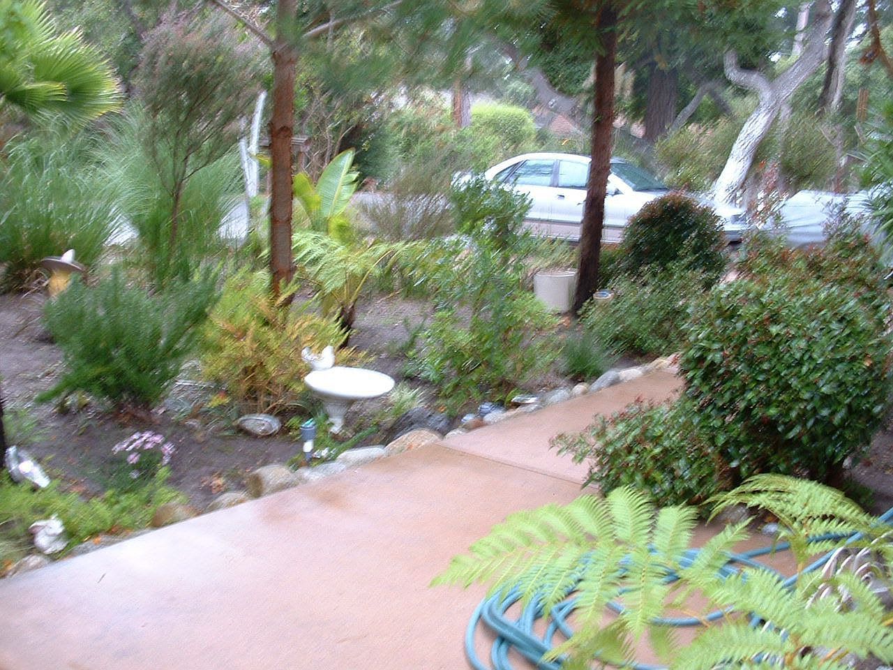 1097 Presidio Rd