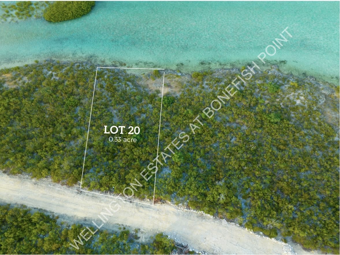 Lot 20