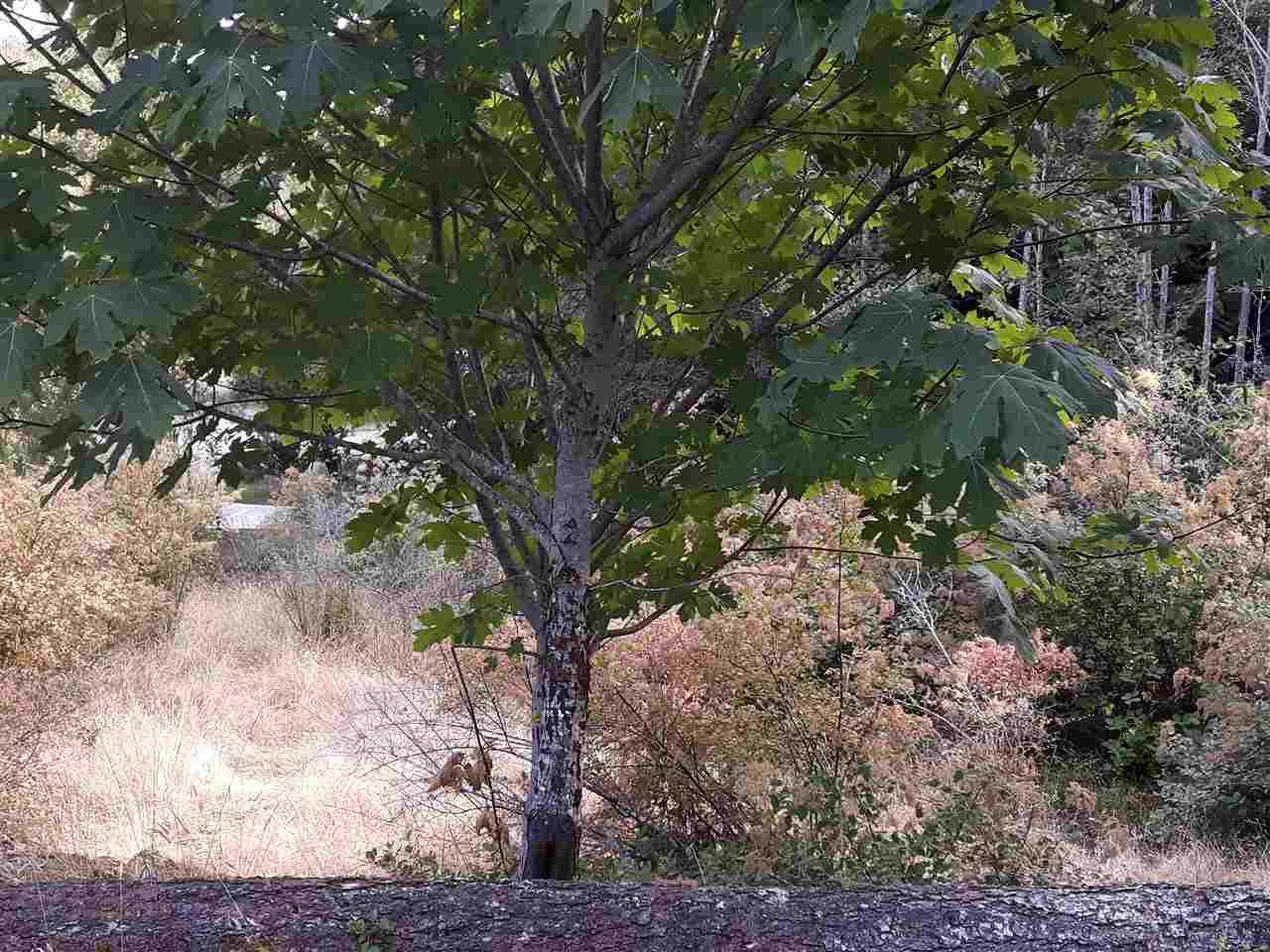 LOT 66 Packalen Blvd