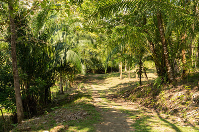 Riverfront Development Acreage, Manuel Antonio, Puntarenas