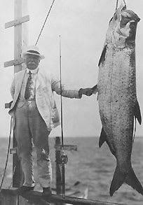 Tarpon Boca Grande