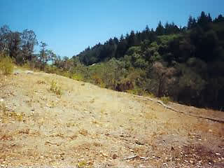 6+ Acres near Meadowood Resort - SOLD