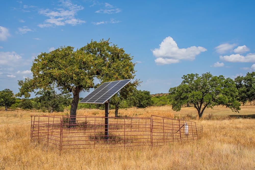 Dog Tick Ranch