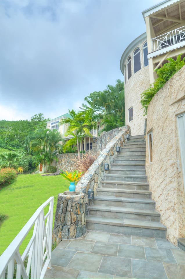 025 Mango Manor