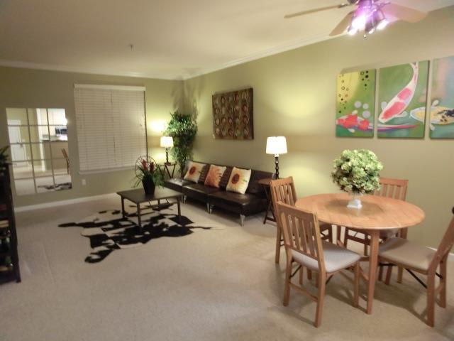 801 S Winchester Blvd #4309