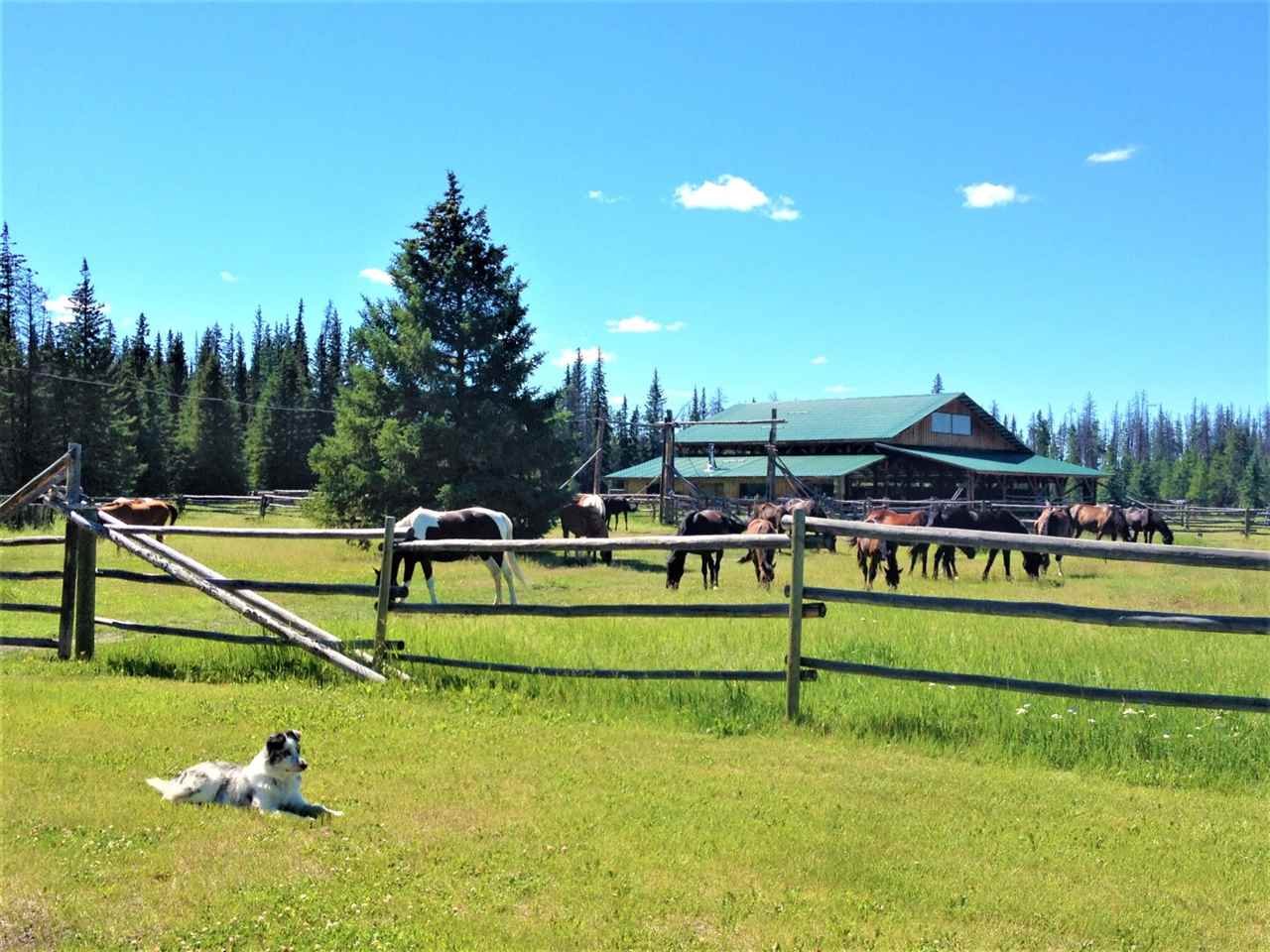 7800 Farwell Canyon Road, Williams Lake