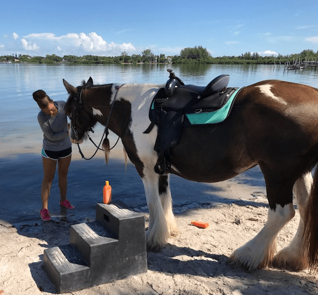 Beach Horseback Riding Anna Maria Island