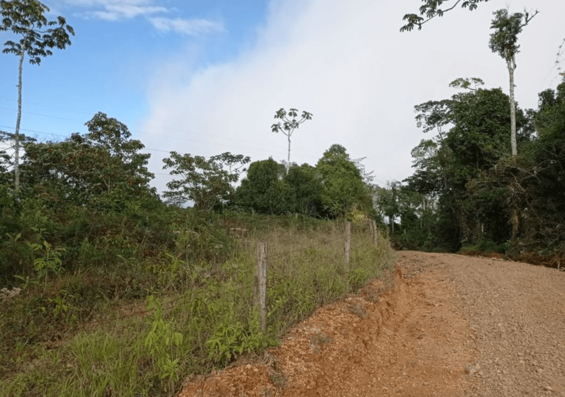 Spectacular Land with Ocean View for Sale 