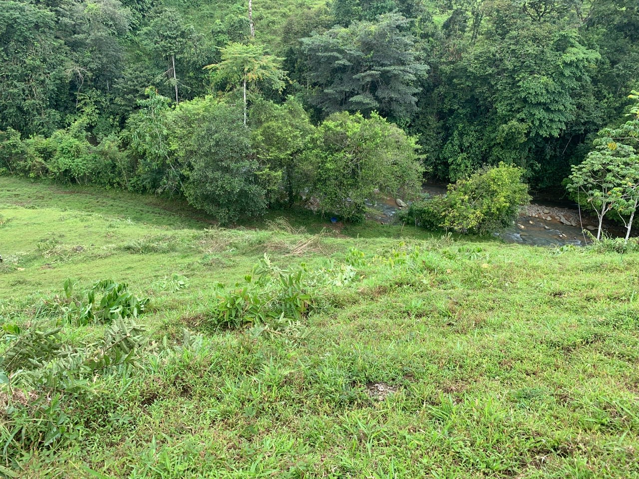 27.6 Acres On The Rio Morenos