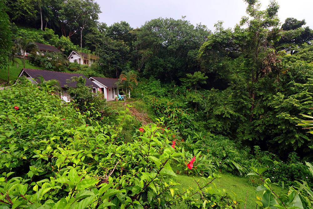 Manuel Antonio Beachfront Hotel