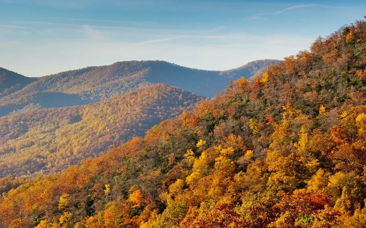 A scenic landscape of rolling hills covered in vibrant autumn foliage, with a clear blue sky and wispy clouds.