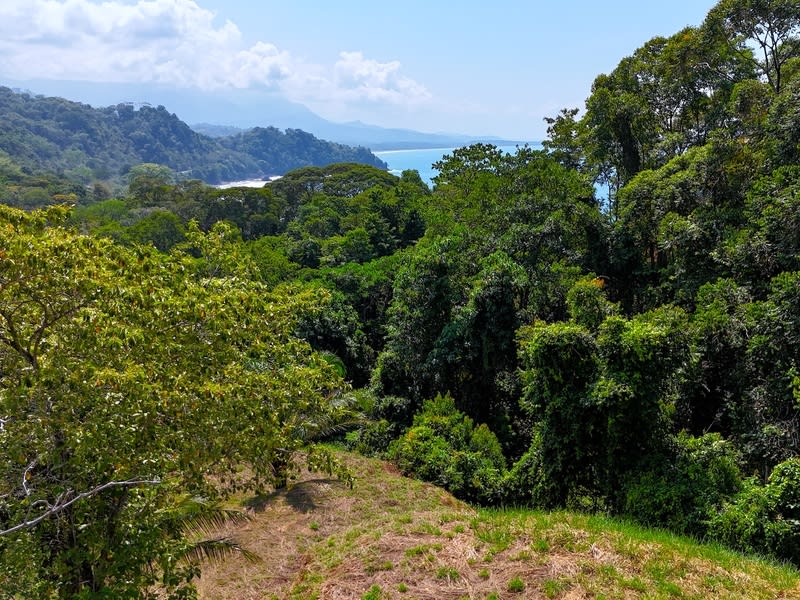 Amazing lot between Uvita and Dominical close to the Ocean