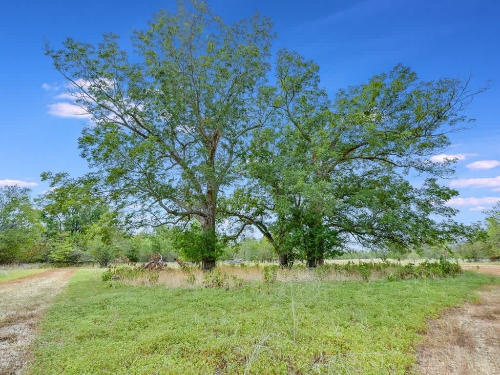 CLC Confluence Ranch