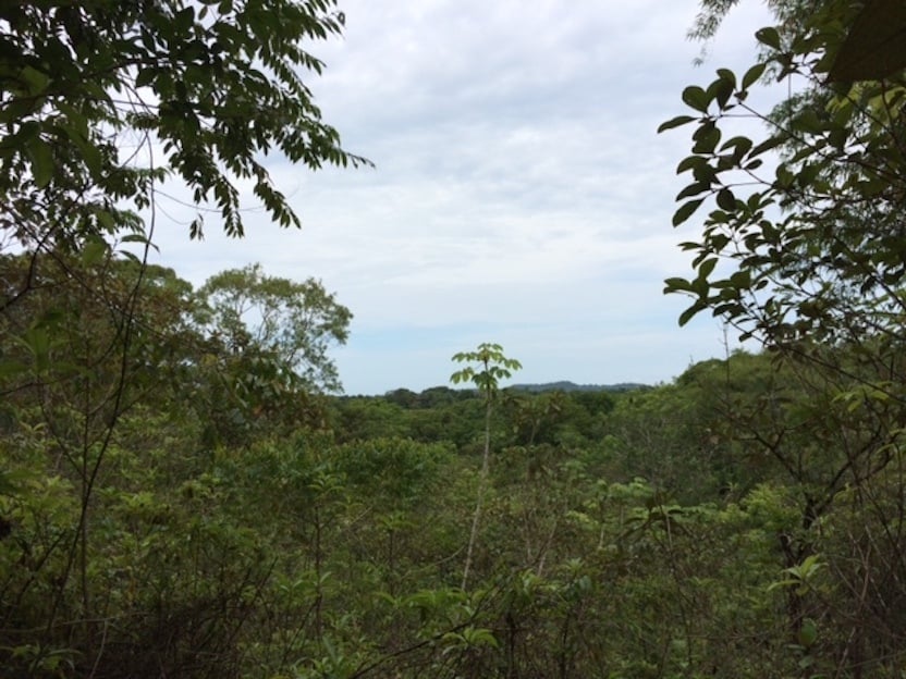 Prime Scenic Development Land, Manuel Antonio, Puntarenas