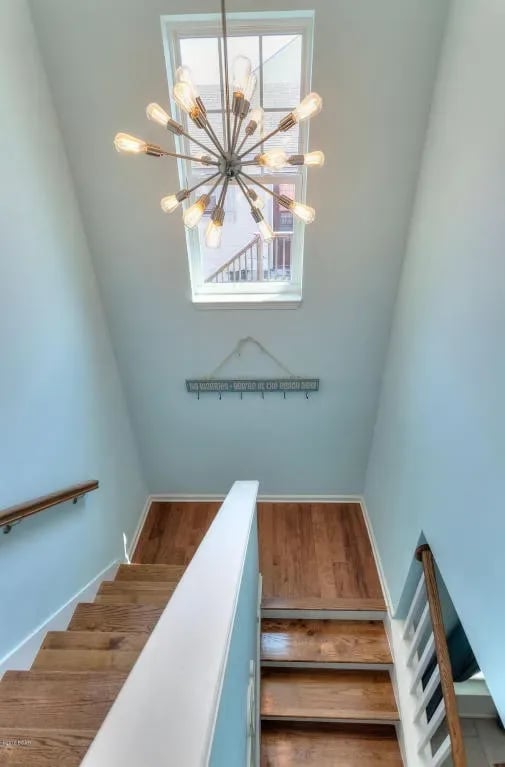 406 ALBATROSS Street