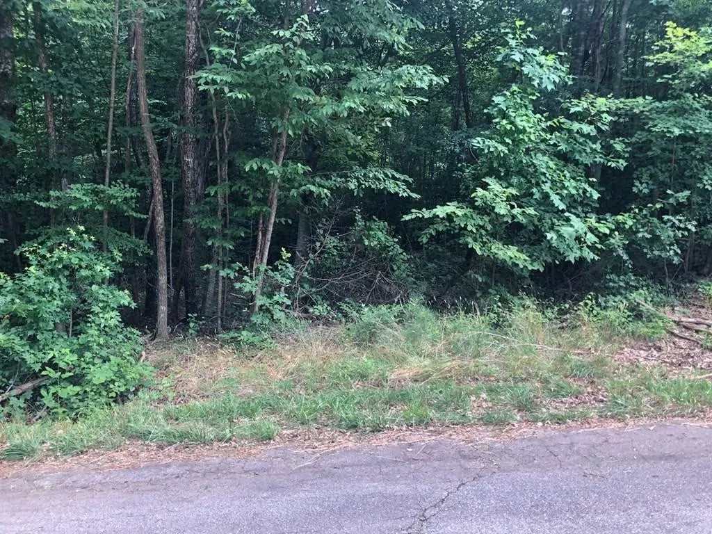 Pleasant View Rd, Lot 36