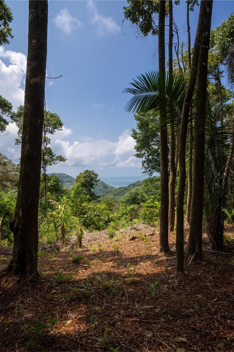 Private Ocean View Development Lot, Dominical, Puntarenas