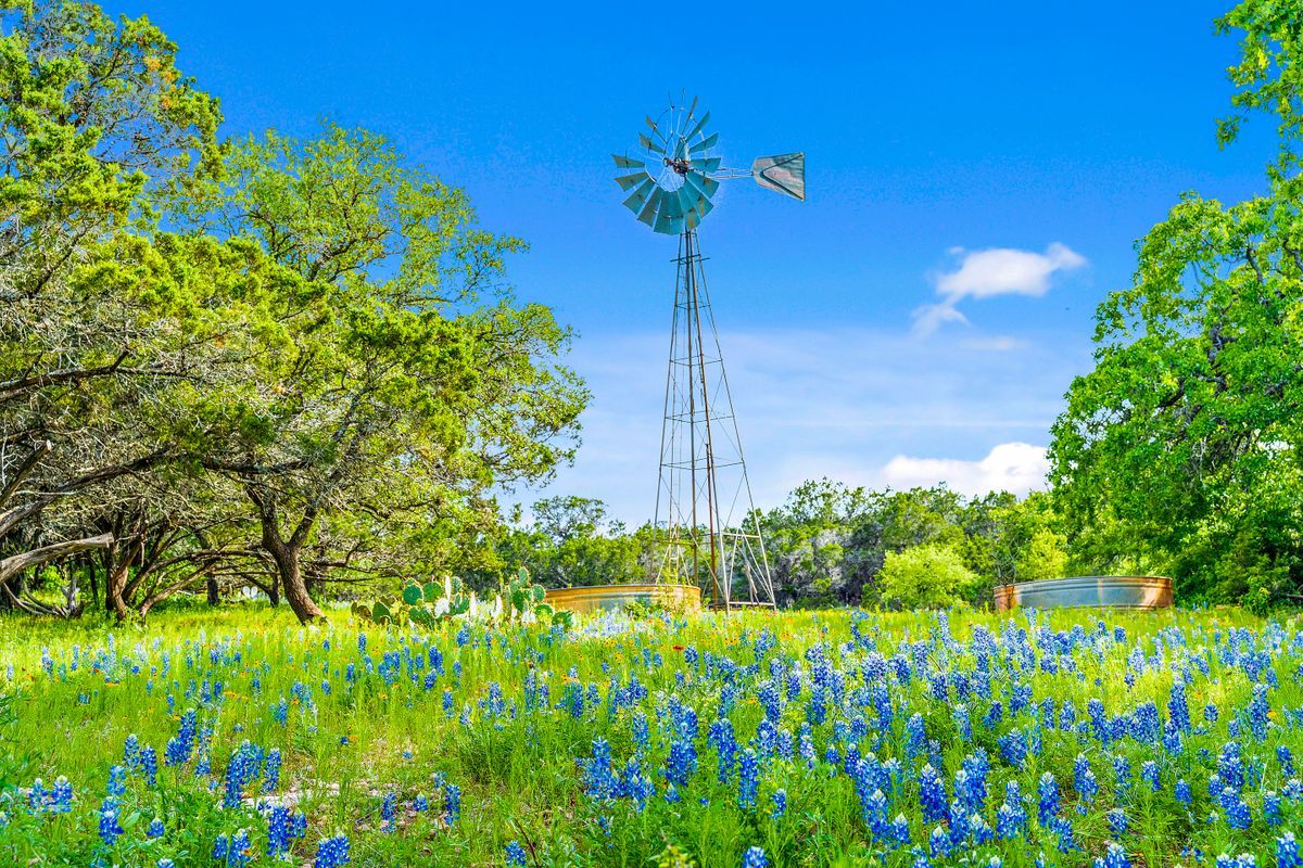 DIAMOND G RANCH | 650.16 ACRES