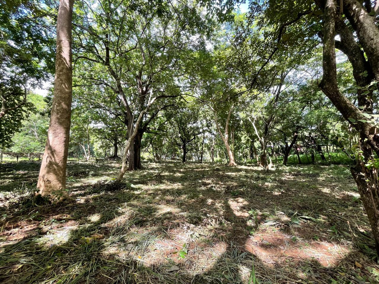 Beachfront Development Land, Tamarindo, Guanacaste