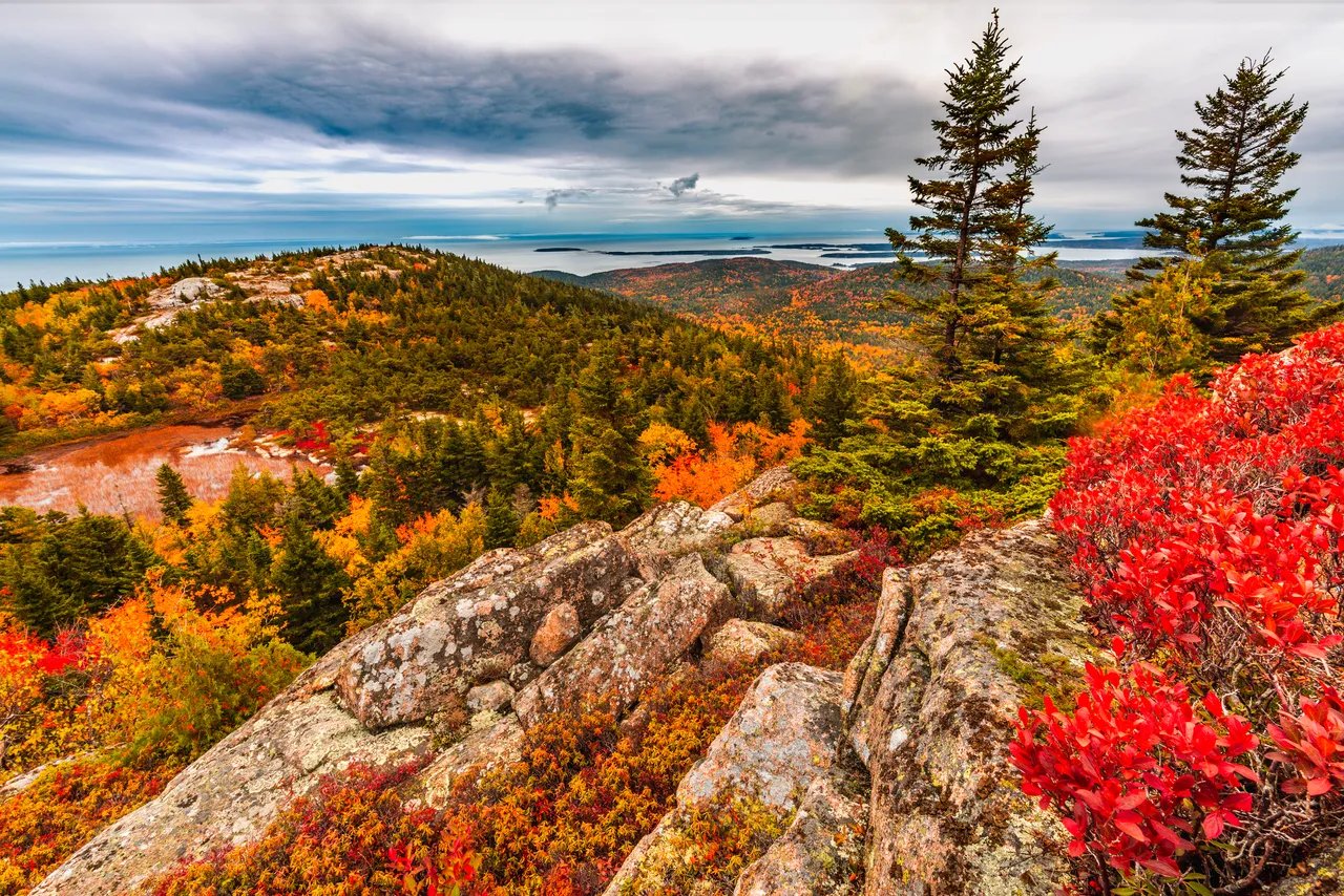 Explore Mount Desert Island: Local Highlights and Exclusive Homes